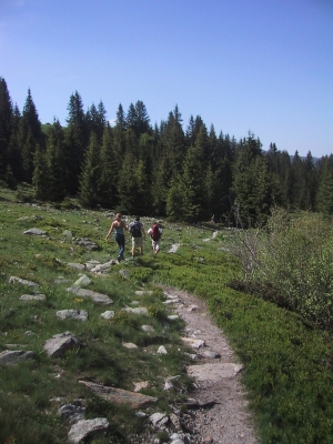 Descente 1
