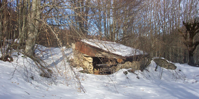 maison d'Elf
