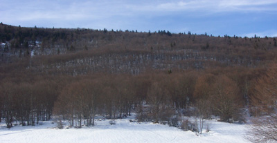 vers l'arrête