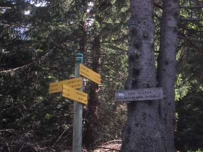 Différents chemins d'accés