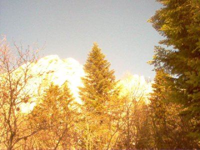 La montagne bronze