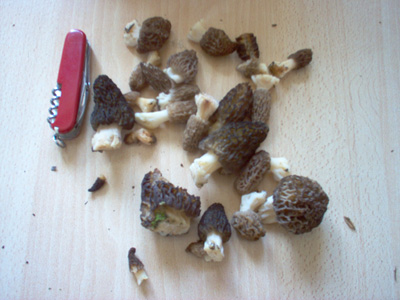 tableau de cueillette