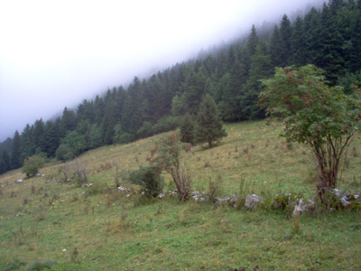 Brume en montagne