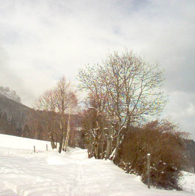 Départ Croix de l'Alpe